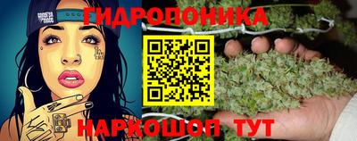 бошки Пенза