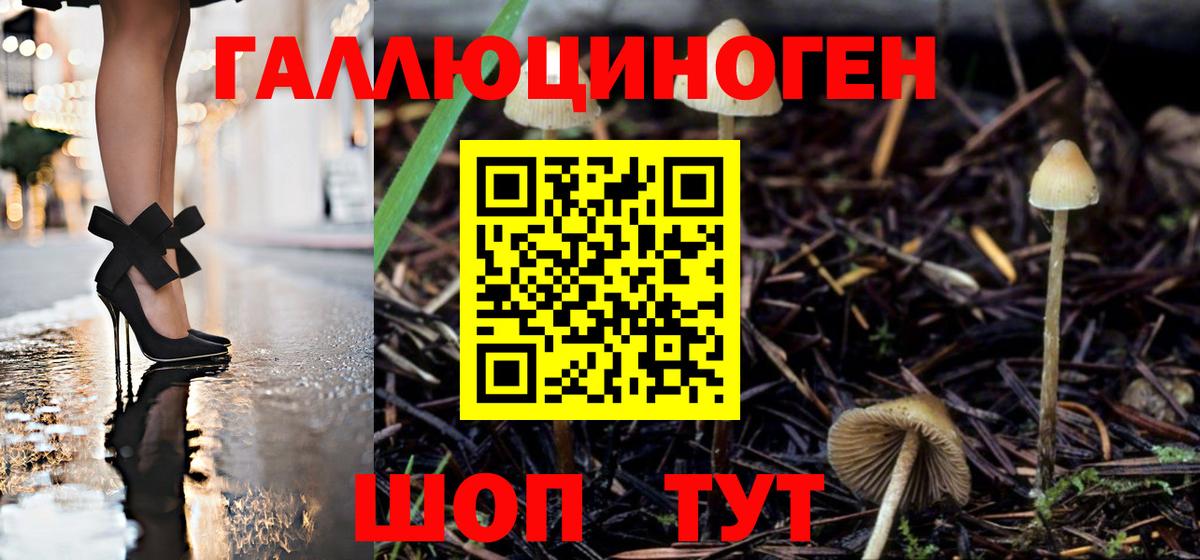 наркошоп  Псилоцибиновые грибы прущие грибы  Вход с VPN  Советская Гавань 